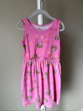 Paw Patrol Skye Sleeveless Dress 5T